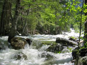 Yosemite Biking - Happy Isles
